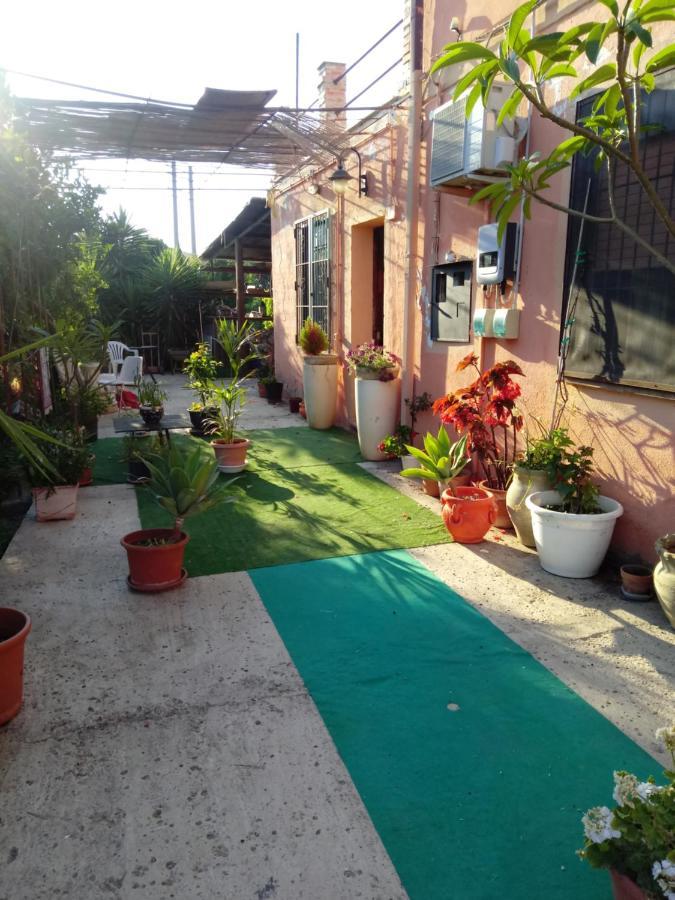 B B Casa Vacanze Il Pino Di Pino Lascari Extérieur photo
